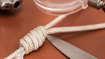 Reprodução/Pixabay