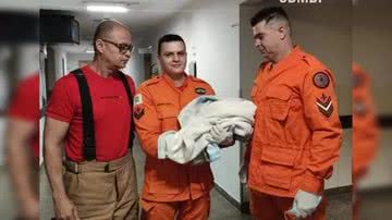 Divulgação/CBMDF