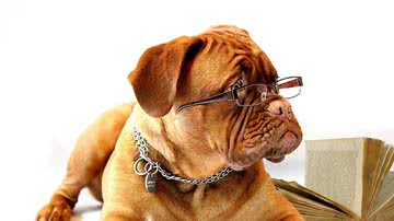 Jan Steiner por Pixabay