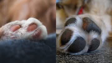 Agape-frequency por Pixabay /Tiinuska por Pixabay