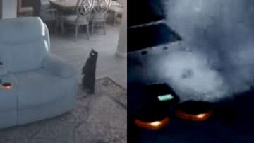 Reprodução/TikTok @creativesoulassassin