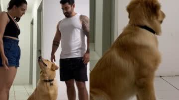 Reprodução/ Vídeo