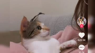 Reprodução/ Vídeo