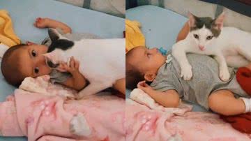 Reprodução/TikTok @manoellanoroes