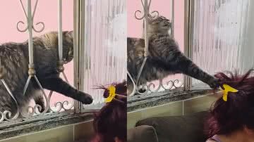 Reprodução/TikTok @anapaulavieiracg4