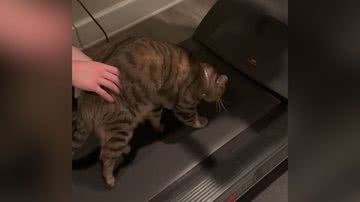 Reprodução/TikTok @emilybragg13