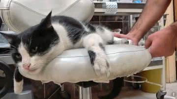 Reprodução/Youtube/TRT Haber