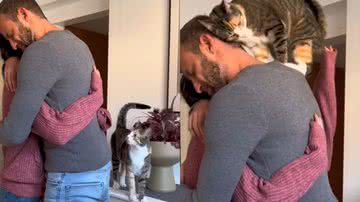 Reprodução/TikTok @lilly_lotti_cats