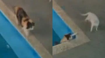 Reprodução/TikTok @anabeatriz.afr