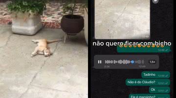 Reprodução/TikTok @costamclara