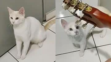 Reprodução/TikTok @cvrefernana