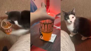 Reprodução/TikTok @thatgirlleahnicole