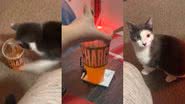 Reprodução/TikTok @thatgirlleahnicole