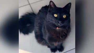 Reprodução/TikTok @biakuerten