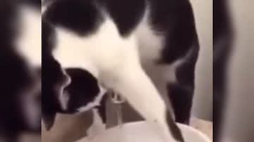 Reprodução/ Vídeo