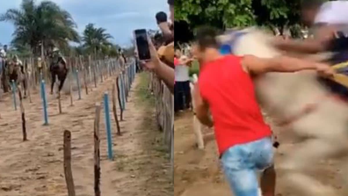 Homem que atirou em cavalo e gravou vídeo é do ES e está sendo procurado  pela polícia de Ecoporanga