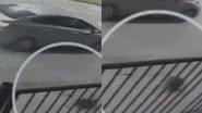 Reprodução/SBT News