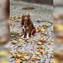 Reprodu&ccedil;&atilde;o/ V&iacute;deo