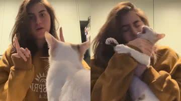 Reprodução/TikTok @sofiasantino