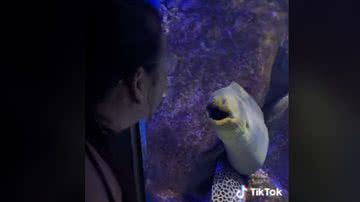 Reprodução / Tik Tok