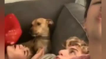 Reprodução/ Vídeo