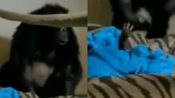 Reprodução/Twitter @SergioAJBarrett