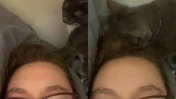 Reprodução/TikTok @sierrabridgesss