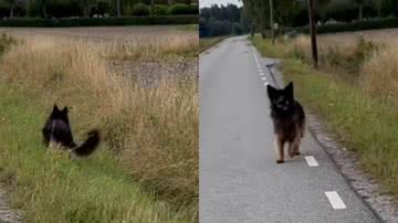 Reprodução/Instagram @enzo.gsd.se