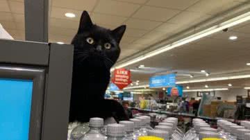 Reprodução / Facebook