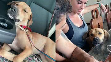 Reprodução/Instagram @gracielelacerdaoficial