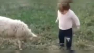 Reprodução/ Vídeo