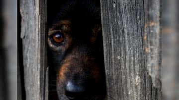 Vedran Dolezal por Pixabay