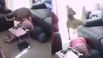 Reprodução/TikTok @marissaaaa93