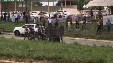 Reprodução/ vídeo