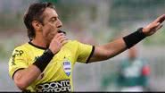 Cesar Greco/Palmeiras