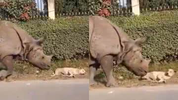 Reprodução/Twitter @FredSchultz35