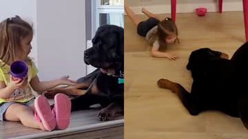 Reprodução/TikTok @anamontanhes