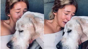 Reprodução/Instagram @pointers_tmz