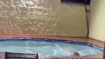 Reprodução/ Vídeo