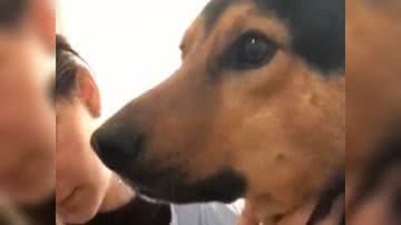 Reprodução/ Vídeo  @petfriends_animal