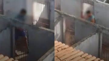 Reprodução/ Vídeo
