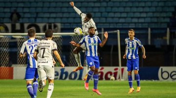 Divulgação / Avaí FC