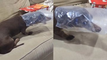 Reprodução / Redes Sociais