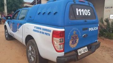 Rperodução / POrtal do Cerrado