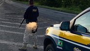 Divulgação / PRF