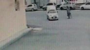 Reprodução Vídeo