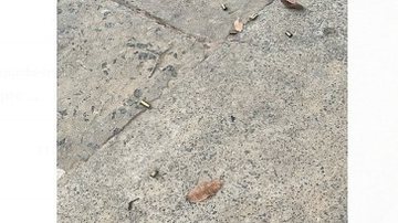 Divulgação Polícia Militar