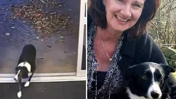 Reprodução Redes Sociais