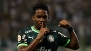 Cesar Greco/Palmeiras