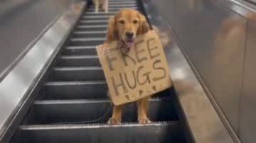 Reprodução/RedesSociais